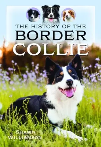 História The History of the Border Collie - Shawn Williamson