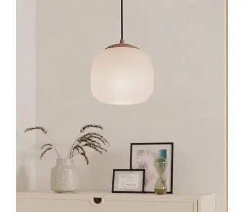 Svietidlá Eglo 900893 - Luster na lanku COMINIO 1xE27/40W/230V 900893