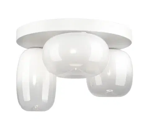 Svietidlá  LED Stropné svietidlo VASO LED/12W/230V pr. 42 cm biela ML1413