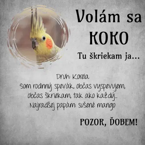 Tabuľky s venovaním (darčeky) Obraz na stenu - Tabuľka na klietku s fotkou a menom vtáčika