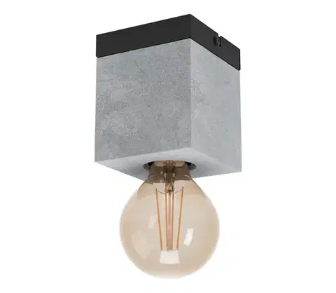 Svietidlá Eglo 43595 - Stropné svietidlo PRESTWICK 1xE27/40W/230V 43595