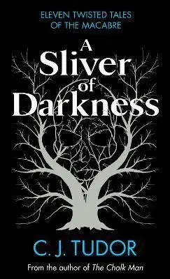 Detektívky, trilery, horory A Sliver of Darkness - C. J. Tudorová