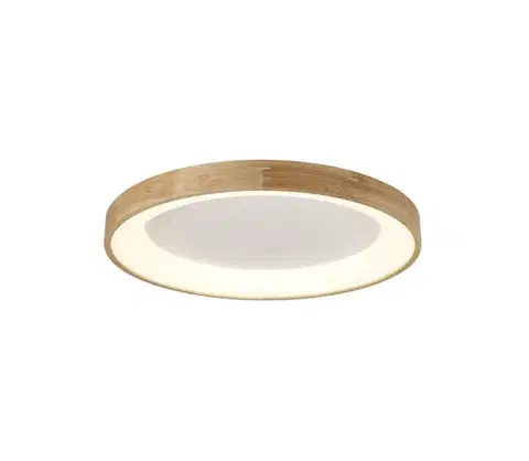 LED osvetlenie Azzardo  - LED stropné svietidlo SILVAM LED/50W/230V 