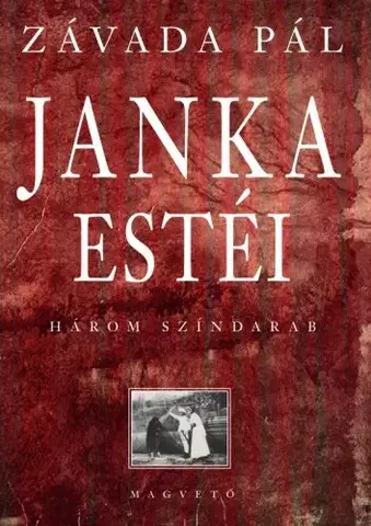 Svetová beletria Janka estéi - Pál Závada