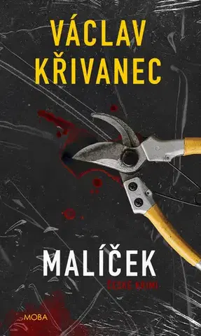 Detektívky, trilery, horory Malíček - Václav Křivanec