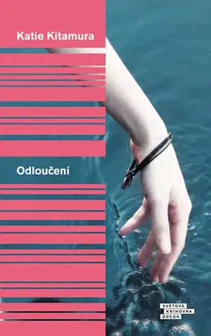 Svetová beletria Odloučení - Katie Kitamura