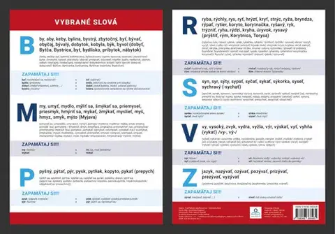 Slovenský jazyk Prehľadová tabuľka učiva Vybrané slová - Dominika Nagyová