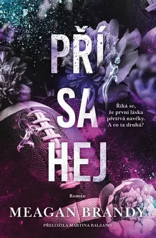 Romantická beletria Chlapci z Avixu 1: Přísahej - Meagan Brandy,Martina Balzano