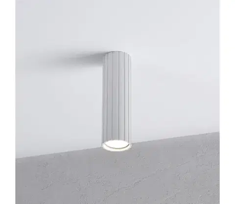 Svietidlá BRILAGI - Bodové svietidlo CRISPINA 1xGU10/10W/230V 20 cm biela 8590828132479
