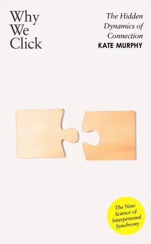 Motivačná literatúra Why We Click - Kate Murphy