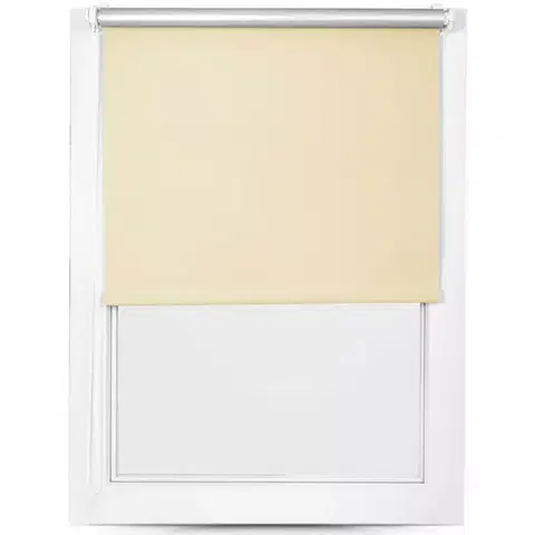 Rolety Roleta Mini Silver 95/150 MGR SXL-056