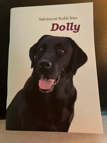 Beletria - ostatné Dolly - Sáfrányné Kobli Írisz
