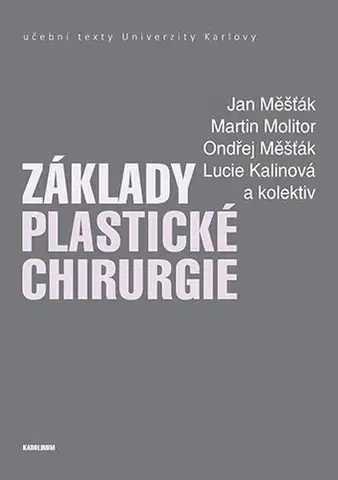 Chirurgia, ortopédia, traumatológia Základy plastické chirurgie - Jan Měšťák,Martin,Ondřej Měšťák,Kalinová Lucie a kolektív