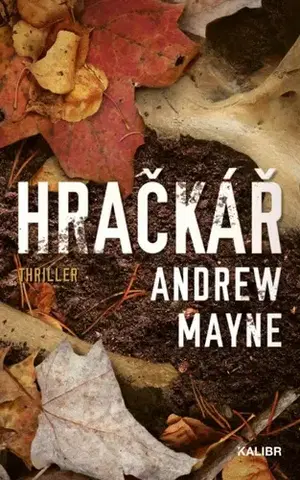 Detektívky, trilery, horory Hračkář, 2. vydání - Andrew Mayne
