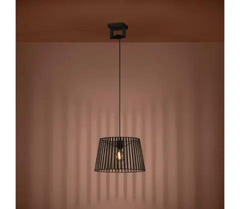 Svietidlá Eglo 390002 - Luster na lanku BOGOTA 1xE27/40W/230V čierna 390002
