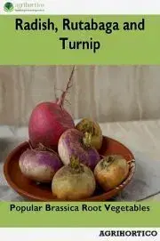 Hobby - ostatné Radish, Rutabaga and Turnip