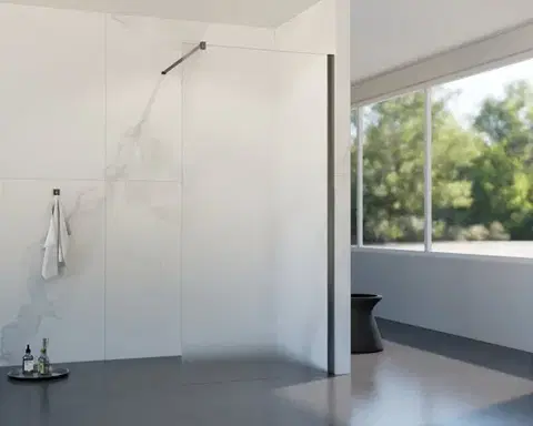 Sprchovacie kúty HOPA - Walk-in sprchovací kút LAGOS GRAFIT NEW 200 - Farba rámu - Grafit, Rozmer A - 100, Rozmer C - 200, Výplň - Matné bezpečnostné sklo - 8 mm BCLAGO10GFN2