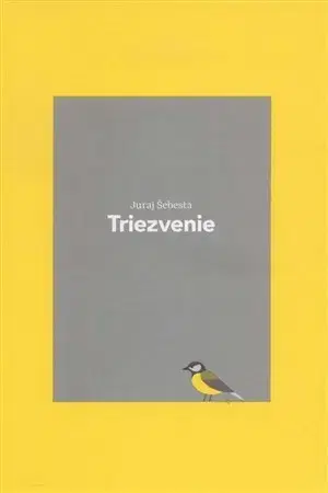 Novely, poviedky, antológie Triezvenie - Juraj Šebesta