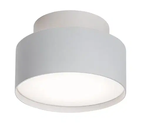 Svietidlá Rabalux 71325 - LED stropné svietidlo OVIDIA LED/24W/230V 3000K biela 71325