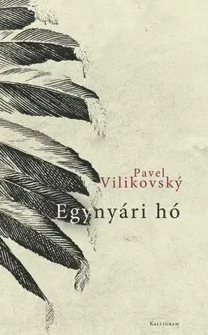 Slovenská beletria Egynyári hó - Pavel Vilikovský