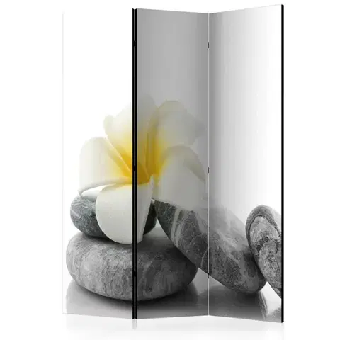 Paravány Paraván White Lotus Dekorhome