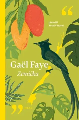 Svetová beletria Zemička - Gaël Faye,Havel Tomáš