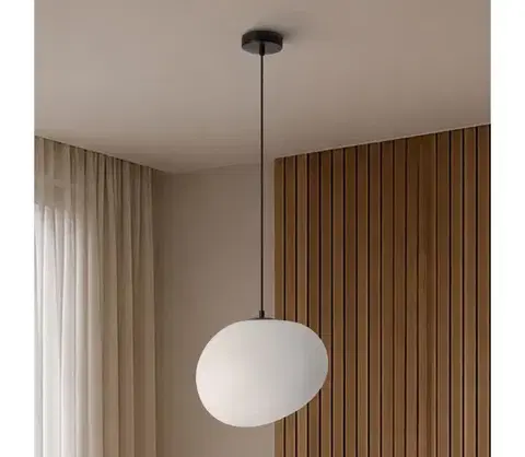 Svietidlá BRILAGI - Závesný luster na lanku PEBBLES 1xE27/40W/230V pr. 30 cm čierna ALA-56887