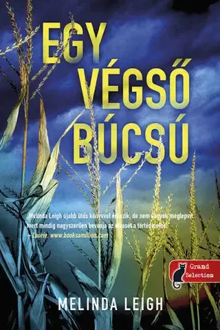 Detektívky, trilery, horory Morgan Dane 2: Egy végső búcsú - Melinda Leigh
