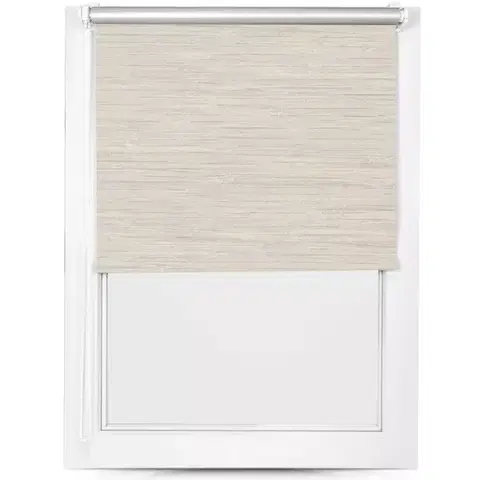 Rolety Roleta Mini Silver 68/215 MGR SXL-063