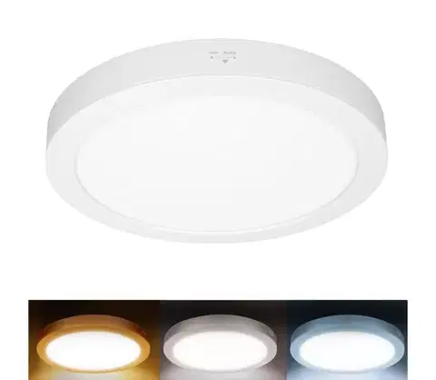 Svietidlá  WD244-W - LED panel 2v1 24W/230V 3000/4000/6000K pr. 30 cm IP54 biela WD244-W