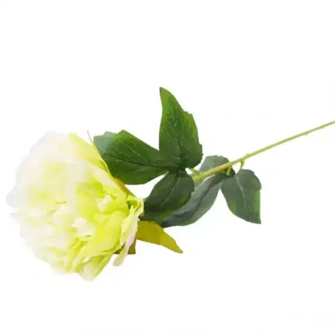 Záhrada Peonia 52cm biela A2010436
