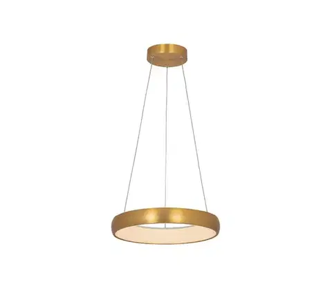 Svietidlá Zam 2046 - LED Stmievateľný luster na lanku LED/30W/230V pr. 40 cm zlatá 2046