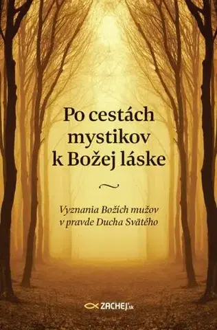 Kresťanstvo Po cestách mystikov k Božej láske