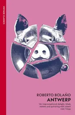 Svetová beletria Antwerp - Roberto Bolano,Natasha Wimmer