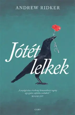 Svetová beletria Jótét lelkek - Andrew Ridker