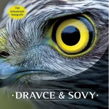 Príroda Dravce a sovy
