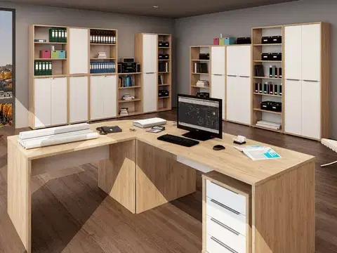Obývacie steny KONDELA Rioma pracovňa dub artisan / biela
