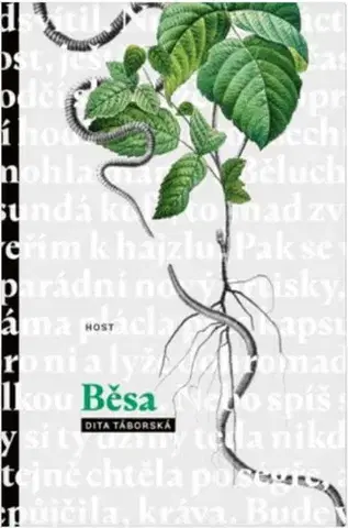 Česká beletria Běsa - Dita Táborská