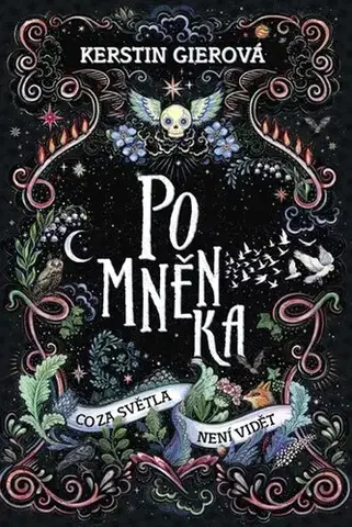 Fantasy, upíri Pomněnka: Co za světla není vidět - Kerstin Gier,Tereza Eliášová