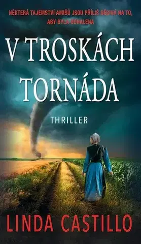 Detektívky, trilery, horory V troskách tornáda - Linda Castillo