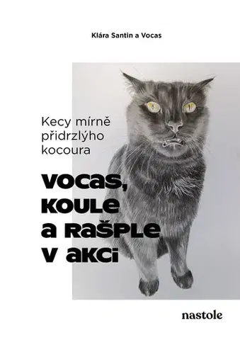 Česká beletria Kecy mírně přidrzlýho kocoura - Klára Santin
