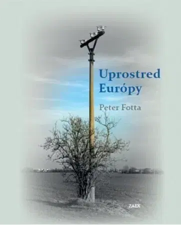 Slovenská poézia Uprostred Európy - Peter Fotta