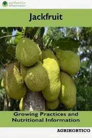 Hobby - ostatné Jackfruit