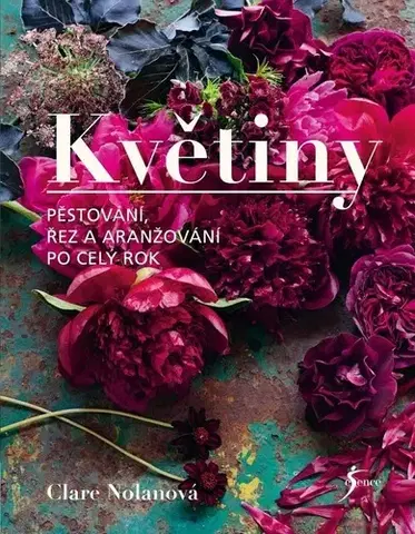 Izbové rastliny Květiny - Clare Nolan