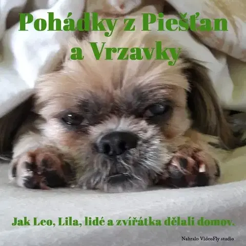 Pre deti a mládež WDBC s.r.o. Pohádky z Piešťan a Vrzavky