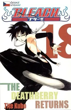 Manga Bleach 18: The Deathberry Returns - Kubo Tite