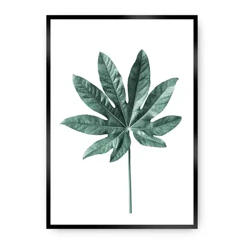 Obrazy Plagát Leaf Emerald Green
