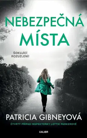 Detektívky, trilery, horory Nebezpečná místa, 2. vydání - Patricia Gibney