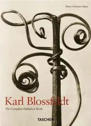 Fotografia Karl Blossfeldt - Adam Hans-Christian