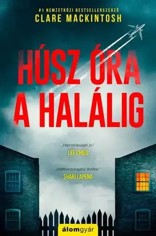 Detektívky, trilery, horory Húsz óra a halálig - Clare Mackintosh